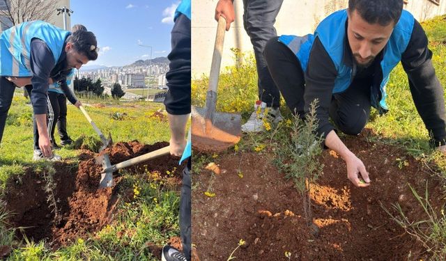Kahramanmaraş'ta bahar temizliği ve ağaçlandırma!