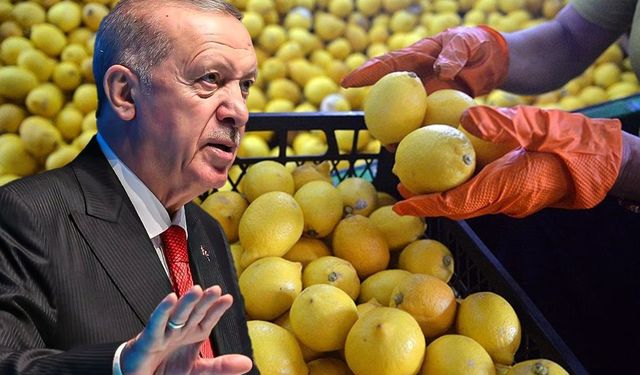 Kahramanmaraş’ta Limon Fiyatlarına Müdahale: %10’a Düştü