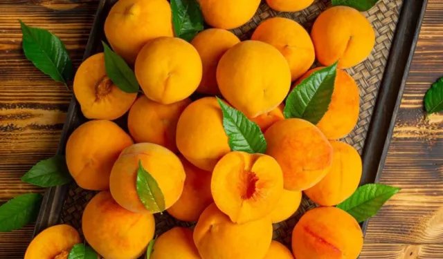 TÜİK Verileri Açıklandı: Kayısı ve Zerdali Türkiye’nin Tarım Şampiyonu