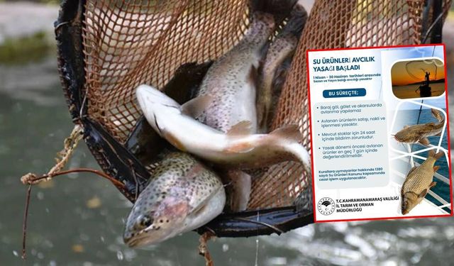 Kahramanmaraş’ta o tarihierde sazan ve yayın balığı avcılığı yasaklandı