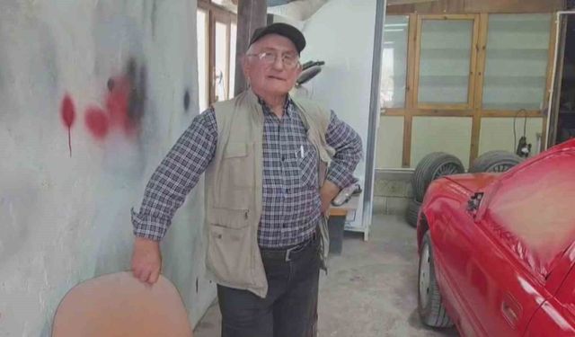 Oto tamirciye beklenmedik ziyaret: Danalar bastı, "Nazikçe geldiler, gittiler"