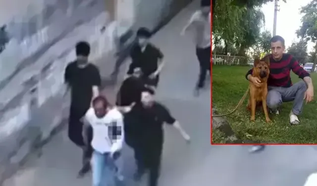 Linç edilerek öldürülmüştü: Ergün Aslan davasında yeni gelişme