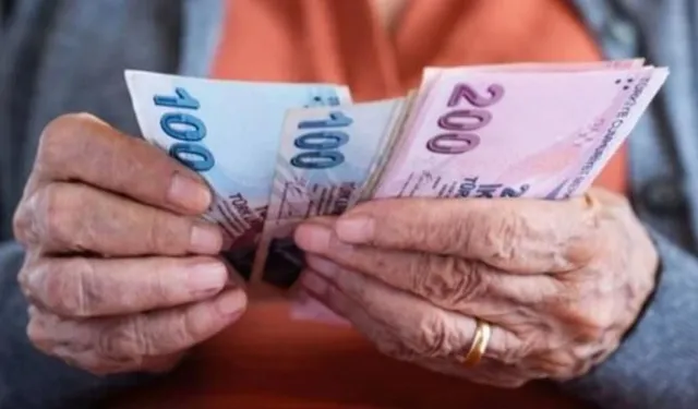 8,5 milyar TL'lik yaşlı ve engelli aylıkları hesaplarda