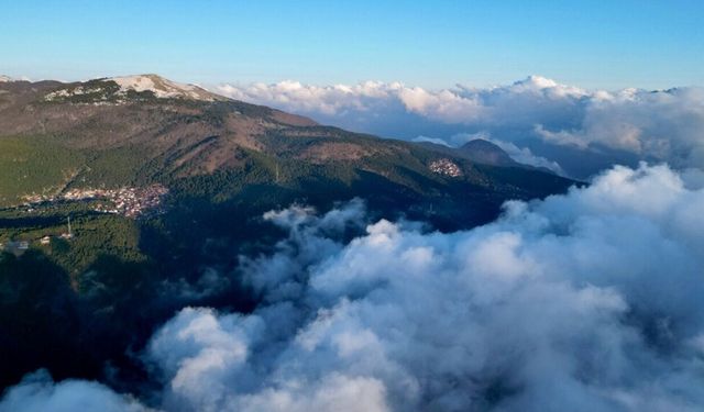 Amanoslar'da bahar şöleni! Kahramanmaraş'tan başlayan yeşil hat