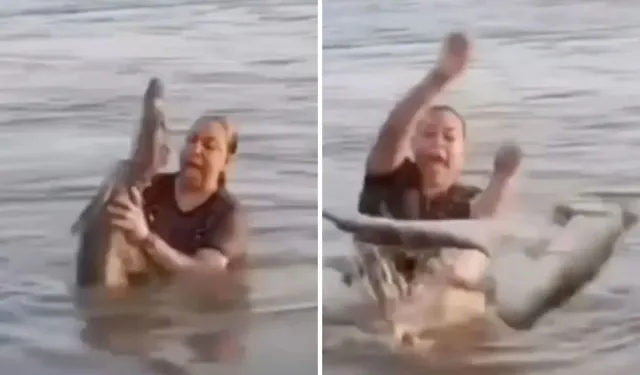 Elini Attı, Dehşeti Yaşadı! Kütük Diye Timsaha Dokundu