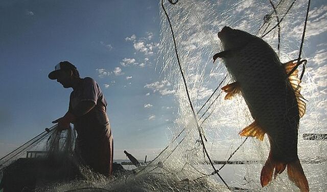 İç Sularda Av Yasağı Başladı: Sazan ve Yayın Balığına 3 Ay Koruma