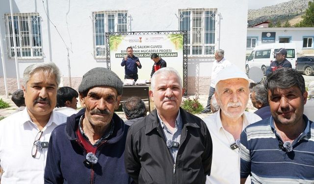 Kahramanmaraş Bertiz’de bağlara doğal kalkan!