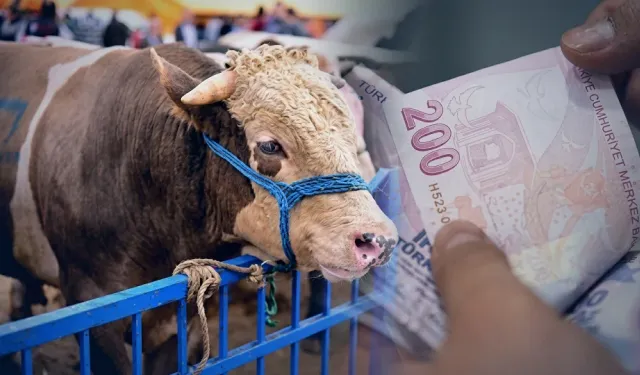 Kahramanmaraş’ta 2026 Kurbanlık Canlı Kilo Fiyatları Açıklandı