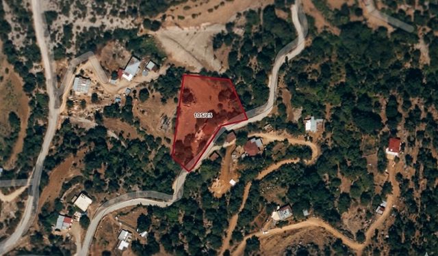 Kahramanmaraş'ta 3 bin metrekarelik bahçeli ev icradan satışa çıktı