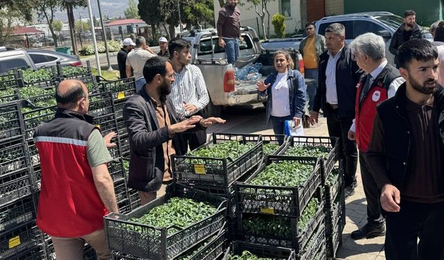 Kahramanmaraş’ta çiftçiye büyük piyango! 500 kişiye yüzde yüz hibeli Maraş biberi fidesi dağıtıldı