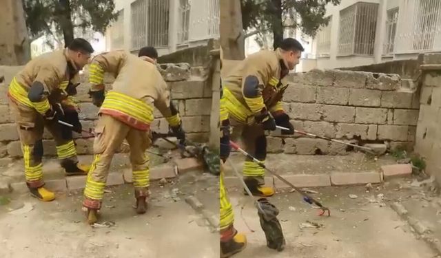 Kahramanmaraş'ta evde yılan çıktı!