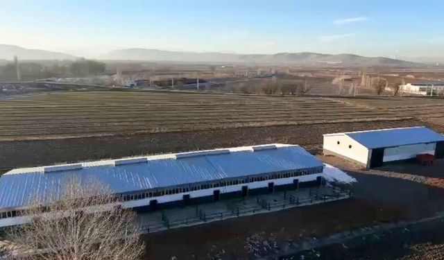 Kahramanmaraş’ta hayvancılığa yatırım! Elbistan’da modern tesis