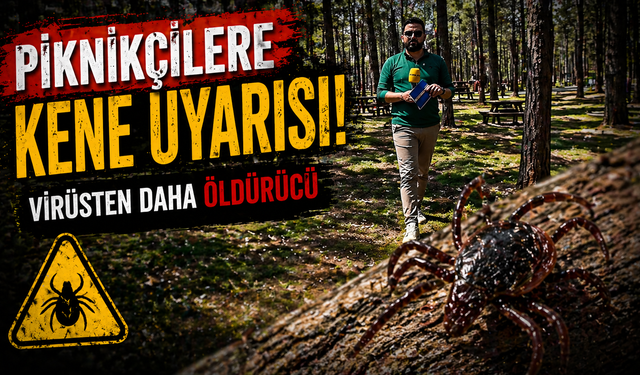 Kahramanmaraş’ta piknikçilere kene uyarısı: Virüsten daha tehlikeli