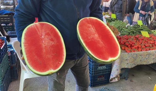 Kahramanmaraş’ta Sezonun İlk Karpuzu Pazara Düştü: Dilim Dilim Satılıyor