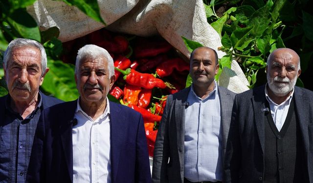 Kahramanmaraş'ta üreticiye 650 bin hibe fide desteği!