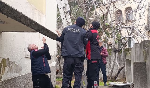 Kahramanmaraş’ta Üşüyen ve Aç Kalan Hamile Kedi Ekipler Tarafından Kurtarıldı
