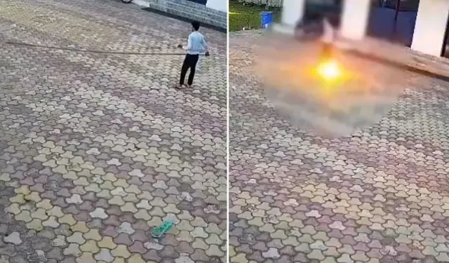 Maymunu kovarken elektrik akımına kapılıp can verdi