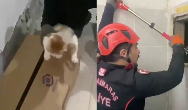 Onikişubat'ta kedi kurtarma! 4 yavru hayata tutundu