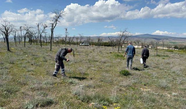 Kilosu 2 bin TL'den satılıyor: 'Altın bulsam bu kadar sevinmem'