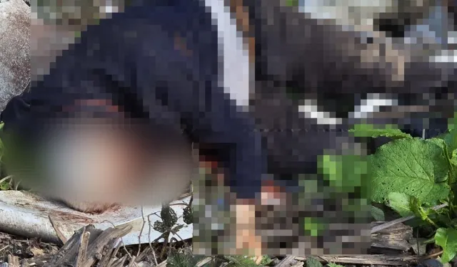 Başından Vurulmuştu: 67 Yaşındaki Adamın Katili Yakalandı