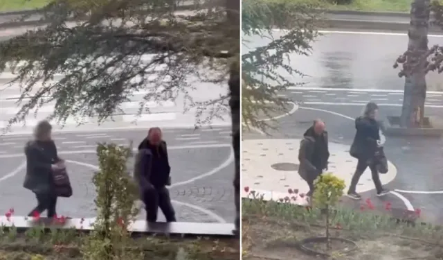 Belediyenin Diktiği Laleleri Söküp Çantalarına Doldurdular