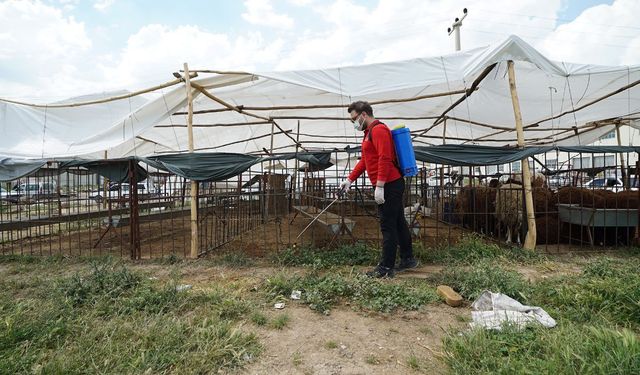 Kahramanmaraş’ta bayram mesaisi! Temizlik ve ilaçlama aralıksız sürüyor