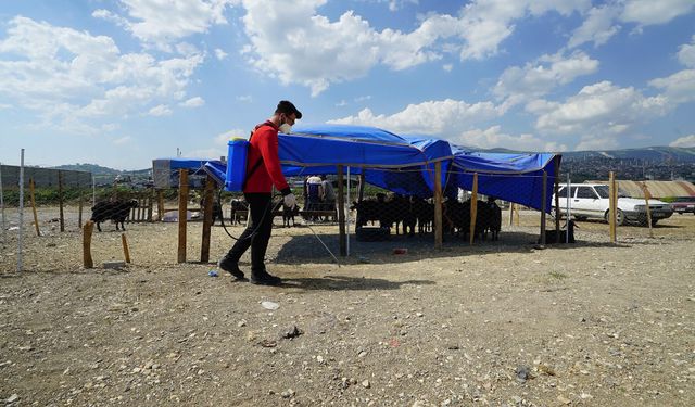 Kahramanmaraş'ta bayram temizliği ve ilaçlama çalışmaları sürüyor