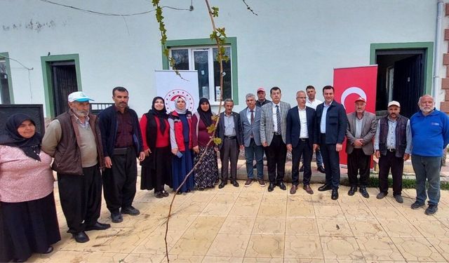 Kahramanmaraş'ta budama kursu! Çiftçiye verim desteği geldi