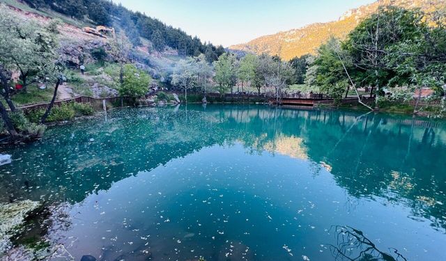 Kahramanmaraş’ta doğa harikası: Yeşilgöz Mesire Alanı ziyaretçi akınına uğruyor