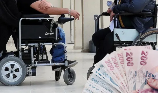 Kahramanmaraş'ta engellilere 735 bin TL hibe desteği