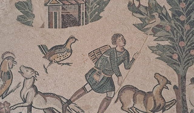Kahramanmaraş'ta Germanicia Mozaikleri! Yerin altındaki Roma