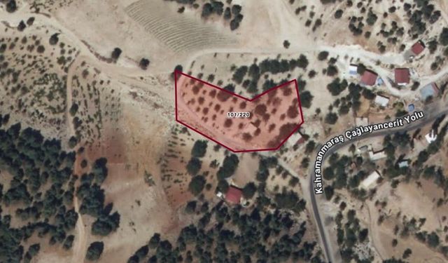 Kahramanmaraş'ta icradan satılık yarı hisseli bina ve arazi