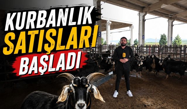 Kahramanmaraş’ta Kurban Pazarı Açıldı, Satışlar Başladı