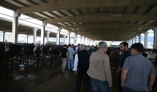 Kahramanmaraş’ta Kurbanlık Alışverişi Hızlandı: Pazarlar Dolup Taşıyor