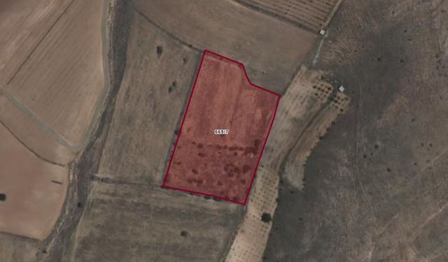 Kahramanmaraş'ta mahkemeden satılık dev arazi! 9.952 metrekarelik parsel
