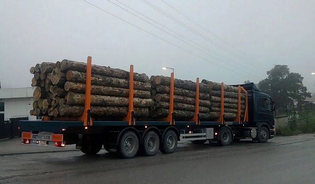 Orman Ürünleri Kesme Tomruklama, Sürütme, Yükleme Ve Taşıma Hizmeti Alınacaktır
