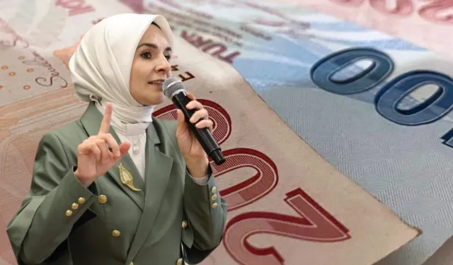 1,83 milyar liralık SED ödemeleri hesaplarda