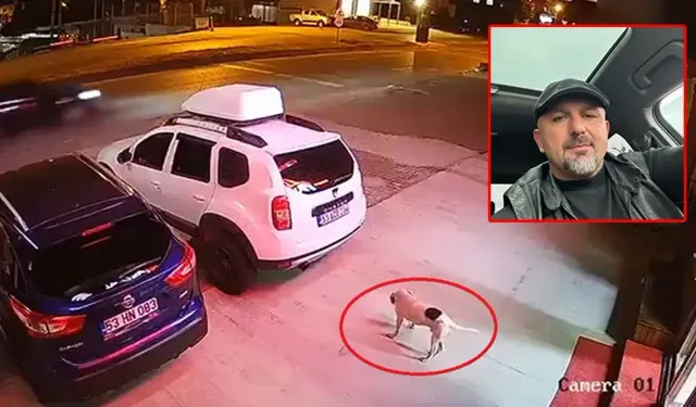 Köpeğe çarpmamak için manevra yaptı, takla atan ATV'de öldü