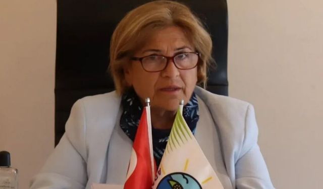Adalar Belediyesi Başkan Vekili Medine Pamuk Kimdir? İşte Siyasi Kariyeri Ve Hayatı