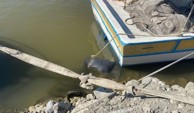 Asi Nehri'nde erkek cansız bedeni bulundu