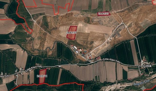 Elbistan’da mahkemeden dev satış: 3 farklı tarla ihale ile satılıyor