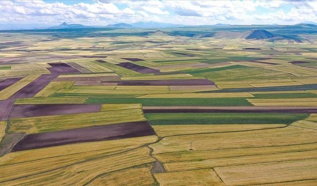 Kahramanmaraş Dahil 45 İlde Dev Arsa Satışı: Yatırımcılar Sıraya Girdi