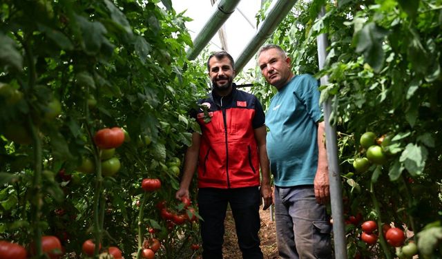 Kahramanmaraş'ta 100 dekar serada yeni nesil tarım dönemi