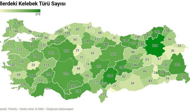 Kahramanmaraş'ta 206 kelebek türü yaşıyor