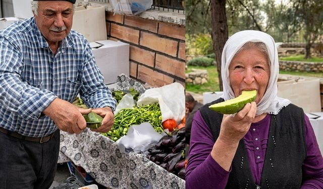 Kahramanmaraş’ta Ata Tohumu Salatalık Şaşırttı: “Biz Ne Yiyoruz?”