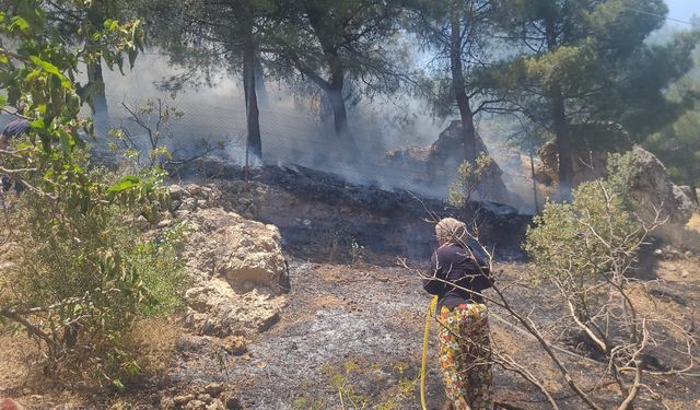 Kahramanmaraş'ta korkutan orman yangını
