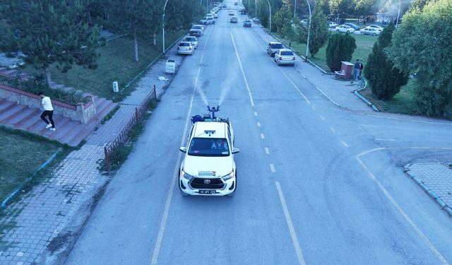 Kahramanmaraş’ta Sivrisinek ve Haşerelere Karşı Yoğun Mesai