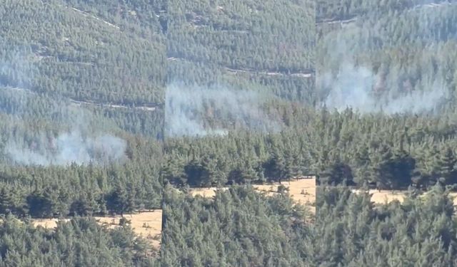 Kırkpınar mevkinde çıkan yangın söndürüldü