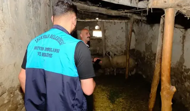 Kuduz vakası sonrası mahalle karantinaya alındı