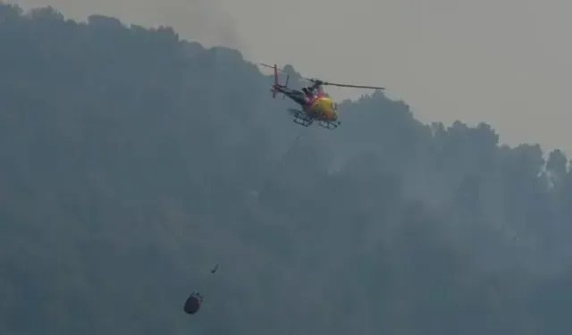 Orman yangını: 11 ölü